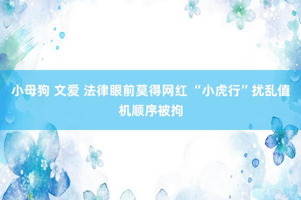 小母狗 文爱 法律眼前莫得网红 “小虎行”扰乱值机顺序被拘