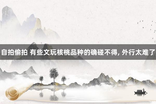 自拍偷拍 有些文玩核桃品种的确碰不得, 外行太难了