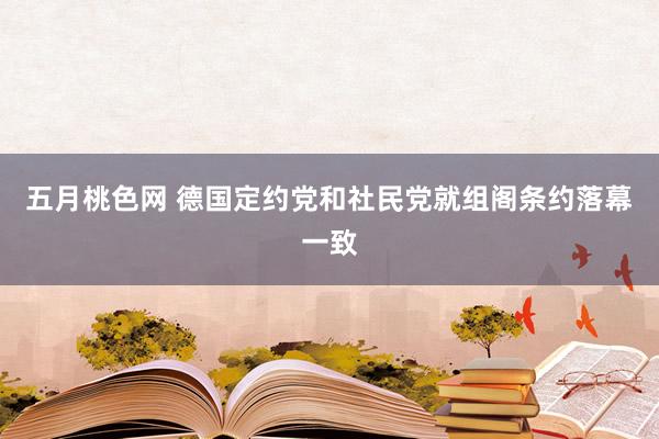 五月桃色网 德国定约党和社民党就组阁条约落幕一致