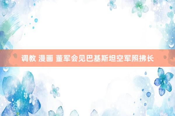 调教 漫画 董军会见巴基斯坦空军照拂长