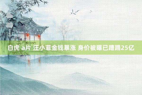 白虎 a片 汪小菲金钱暴涨 身价被曝已蹧蹋25亿