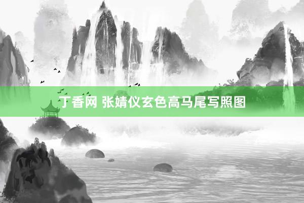 丁香网 张婧仪玄色高马尾写照图